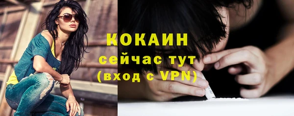винт Горняк