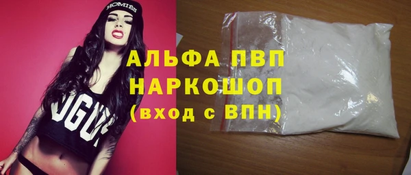 индика Горно-Алтайск