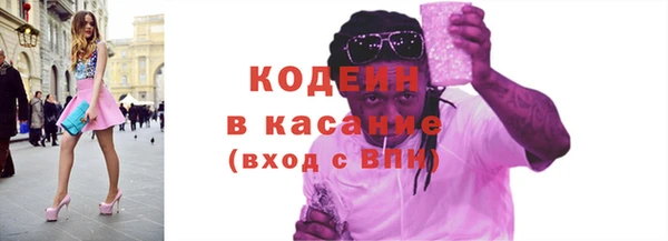 индика Горно-Алтайск