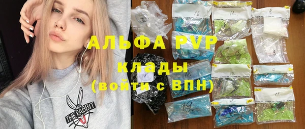 индика Горно-Алтайск
