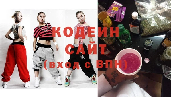индика Горно-Алтайск