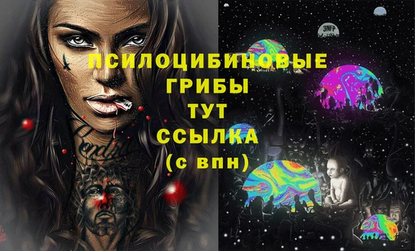 индика Горно-Алтайск