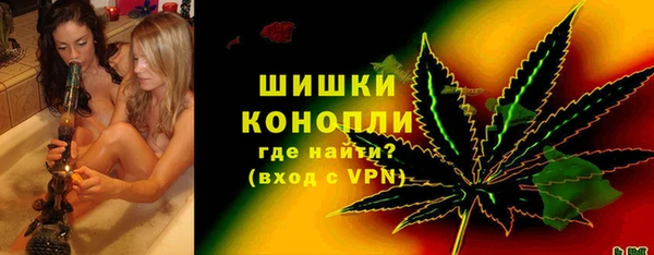 индика Горно-Алтайск
