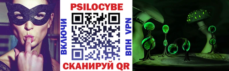 Купить  Узловая  Псилоцибиновые грибы Psilocybine cubensis 